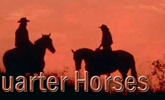 Fullbright Quarter Horses - Where performance counts.