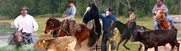  Riding, roping, trailering, rough country, cattle work - you name it, we do it.