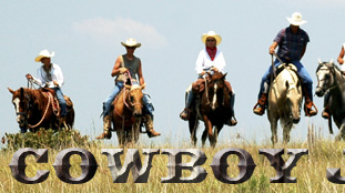 Cowboy Junction Church Member Businesses